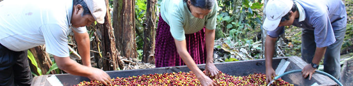 #134 Inka Paahtimo: Peru Tunki