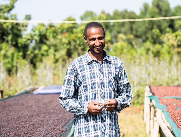 #115 Main Lane Coffee Roasters: Ethiopia Khalid Shifa Natural